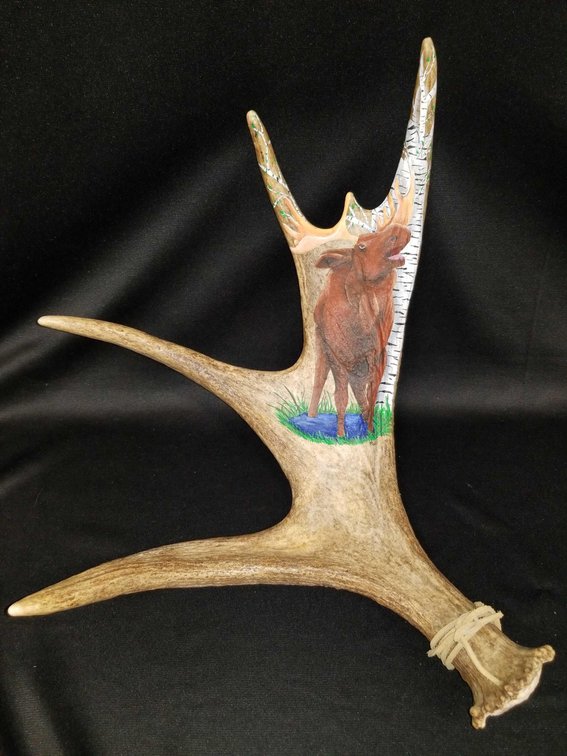 Moose antler with whimsical painting