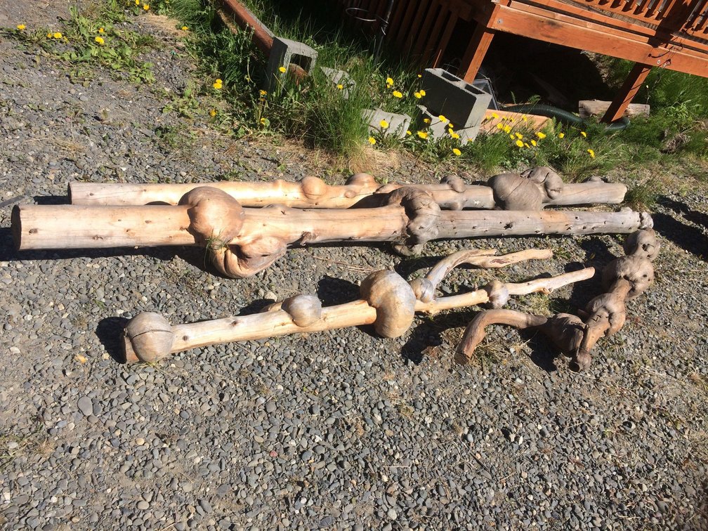 Lovely logs