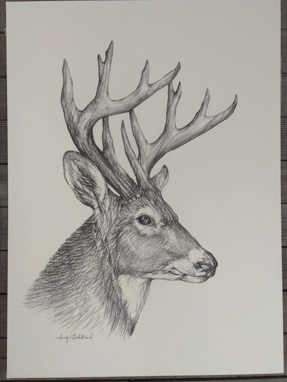 Buck Field Style Sketch #3