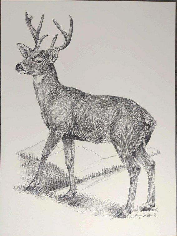 Buck Field Style Sketch #6
