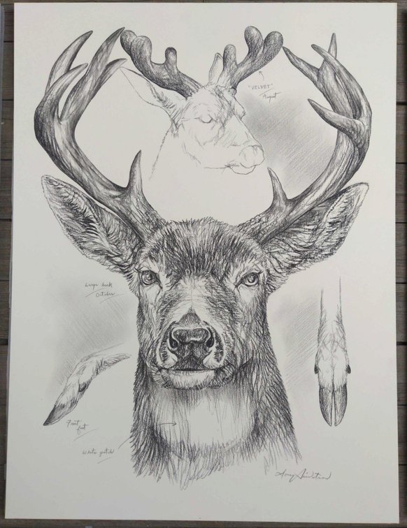 Buck Field Style Sketch #7