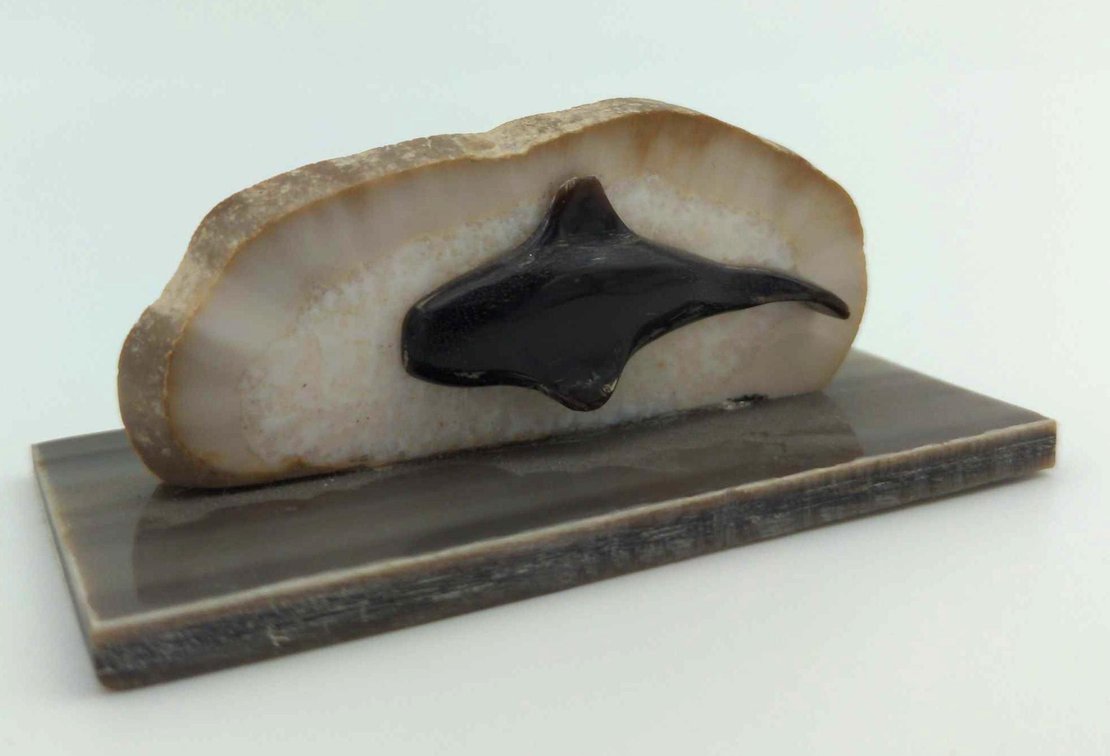 Double Sided Baleen & Fossilized Walrus Ivory Display