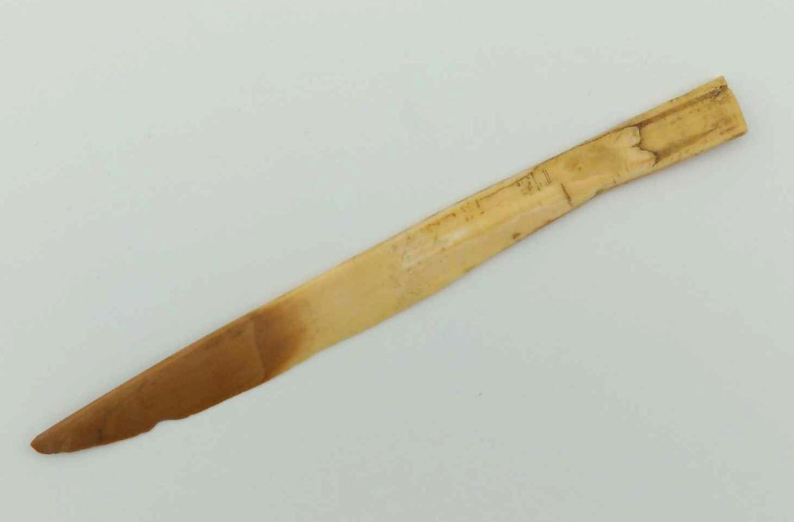 Fossilized Ivory Letter Opener