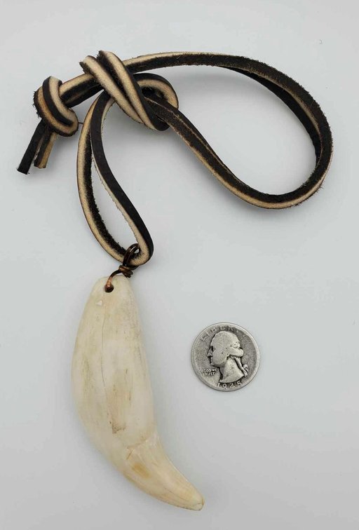 Polar Bear Tooth Necklace 