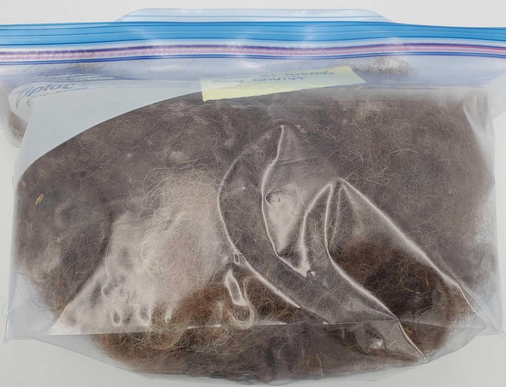 Raw Qiviut (Musk-Ox Wool)