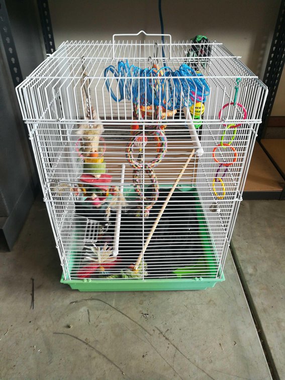 Bird Cage w/Accessories