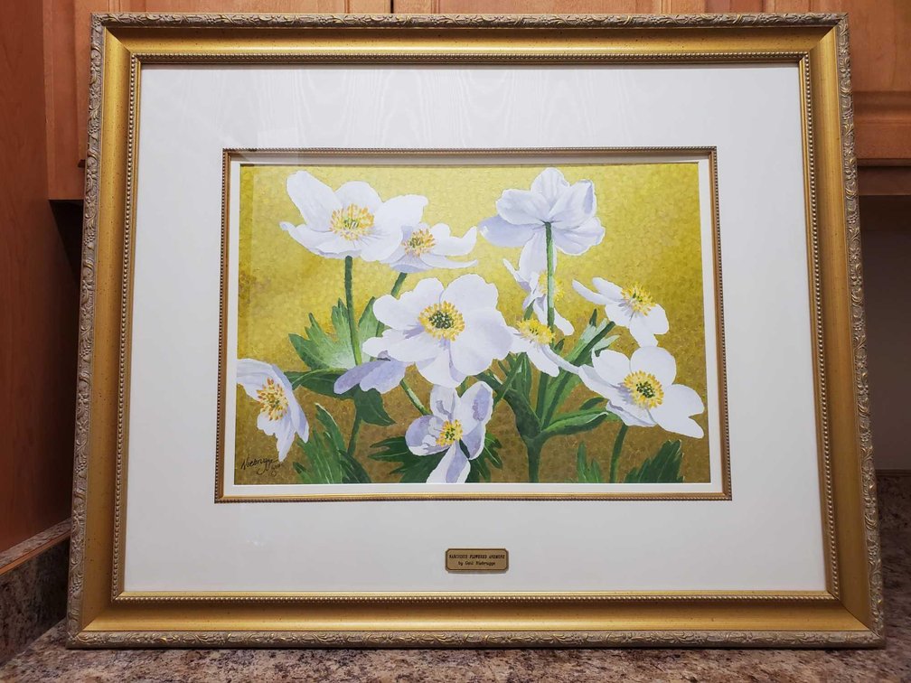 Gail Niebrugge "Narcissus Flowered Anemone" Original Painting 