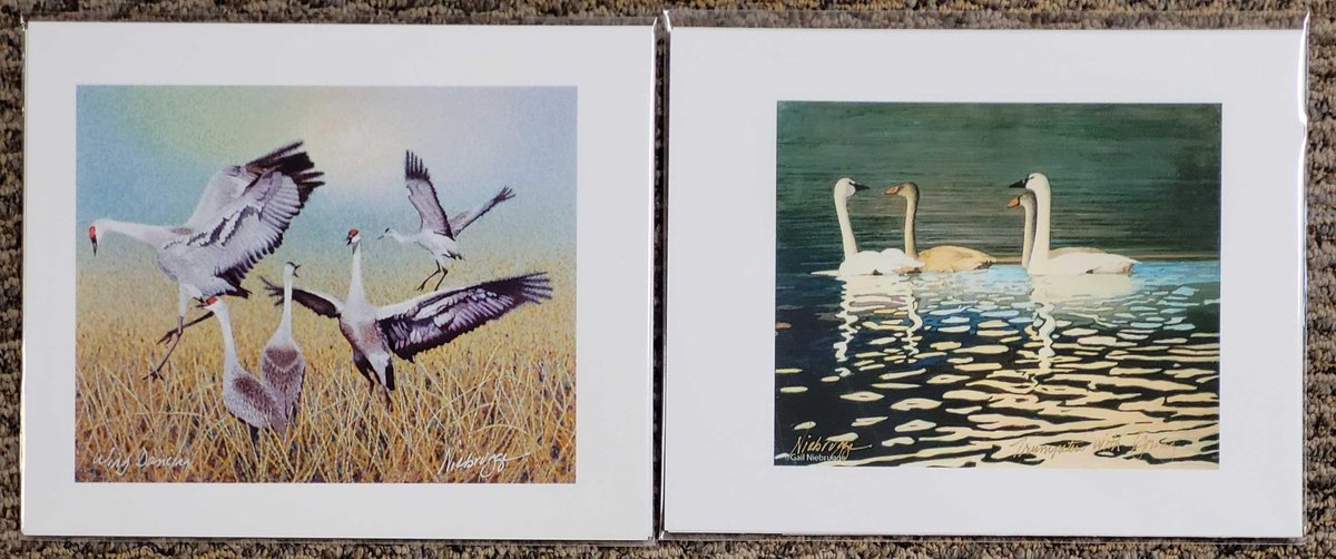 2x Gail Niebrugge Bird Prints