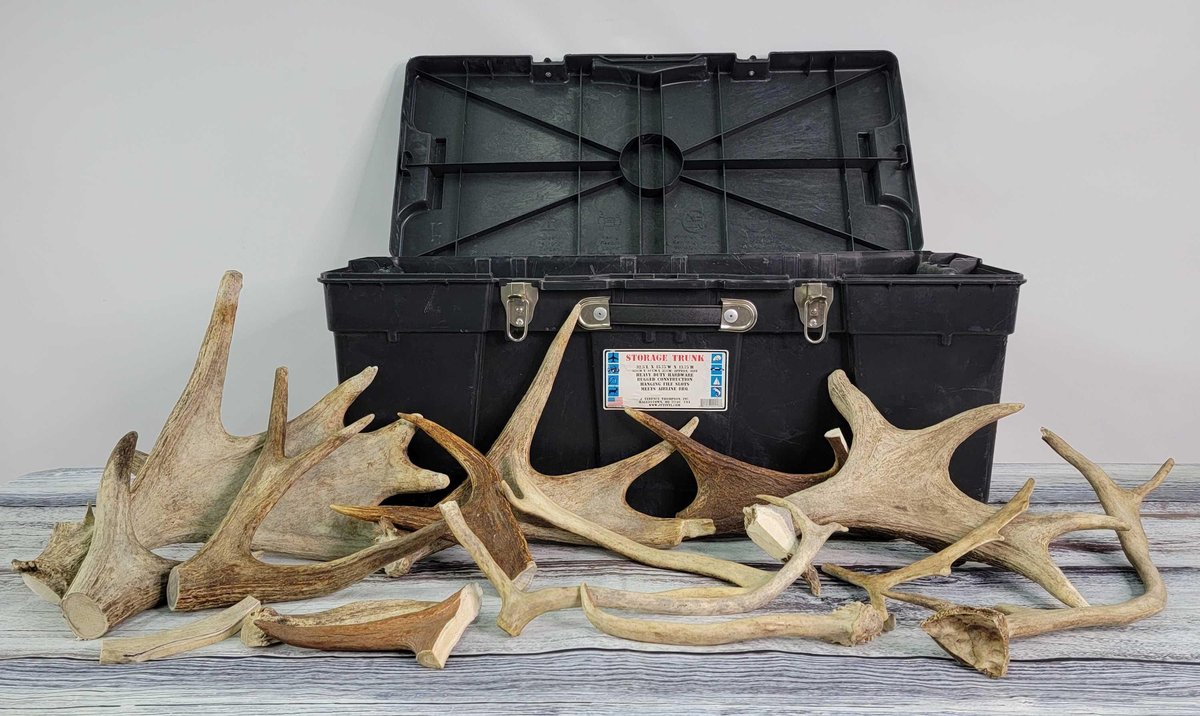 Storage Trunk Of Animal Antlers