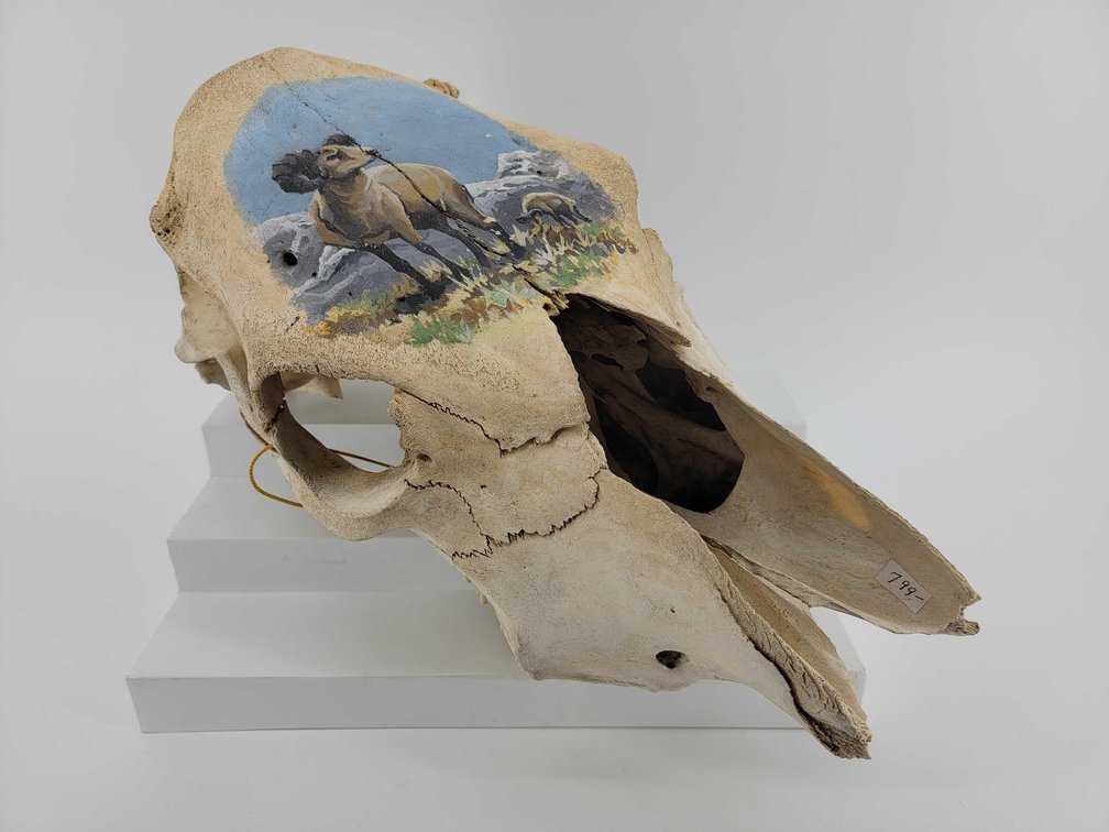 Hand-Painted Moose Skull