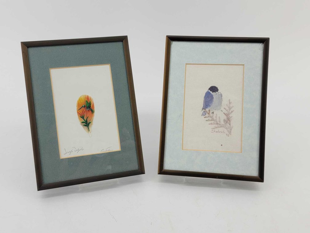 2x Original Framed Bird Art Pieces