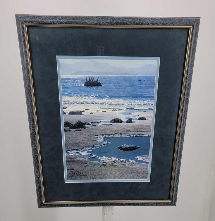 Ed Tussey "Tidepool" Print