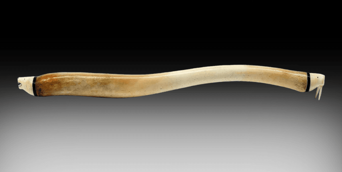 Fossilized Walrus Oosik w/ Scrimshaw Polar Bear & Walrus Heads
