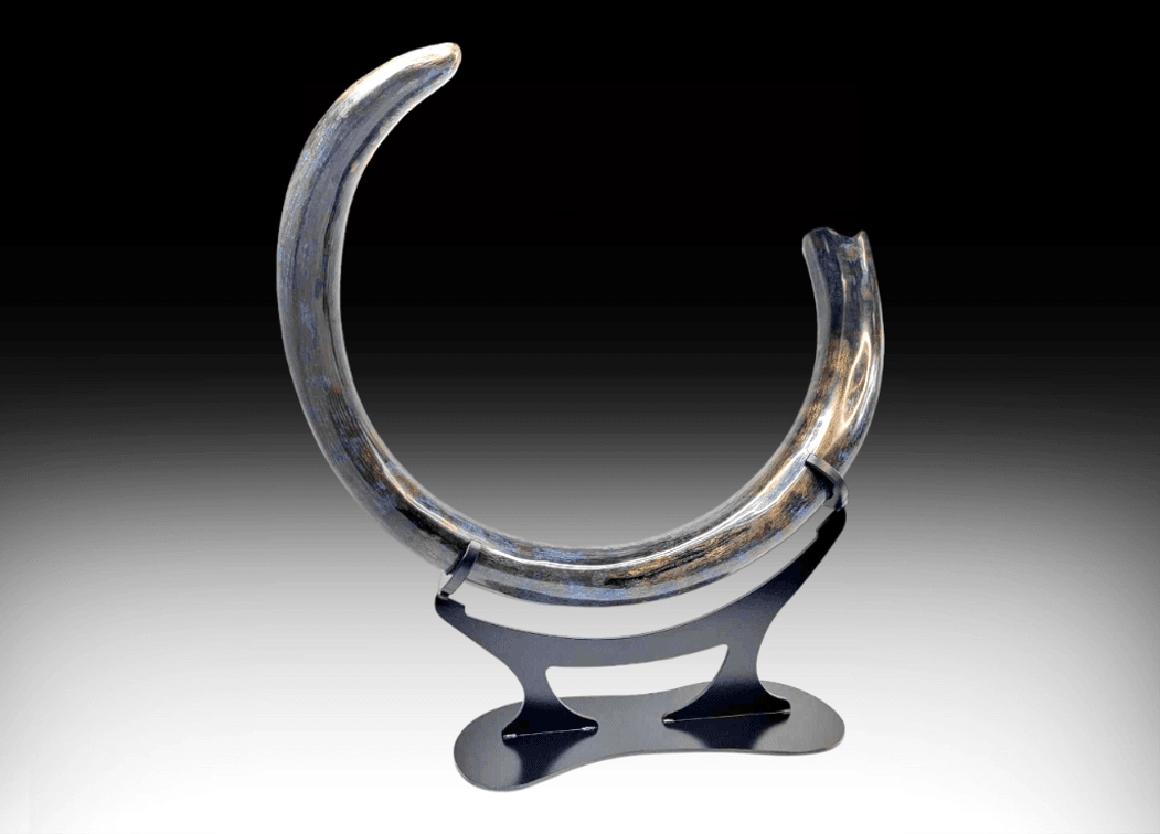 98 lb 9' Woolly Mammoth Tusk w/ Blue Colorization 