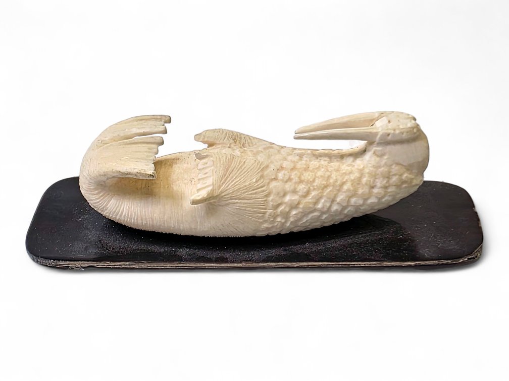 Carved Ivory Walrus by Daniel Silook
