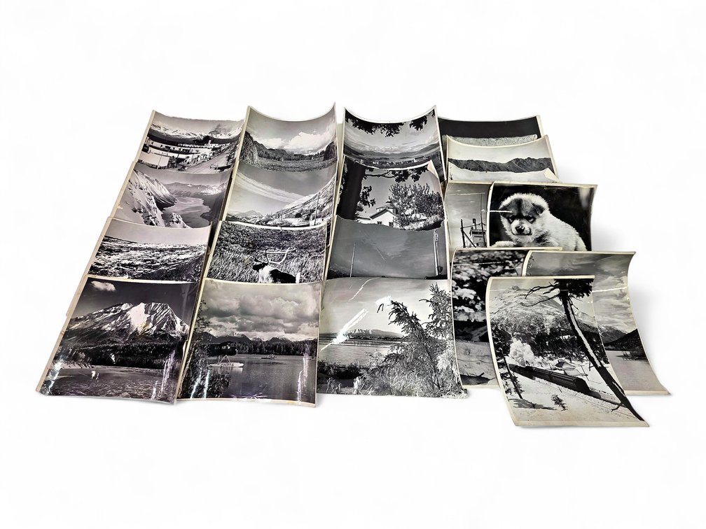 21x Harvey & Ellen Henne Goodale Estate Photographs