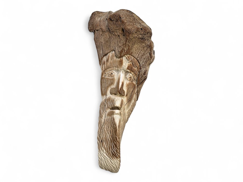 A Mineralized Bone Carved Profile