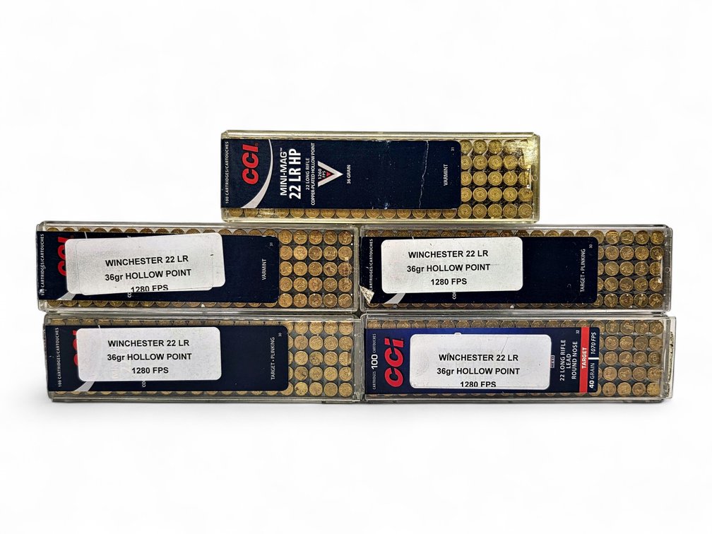 500x Winchester & CCI 22LR Rounds