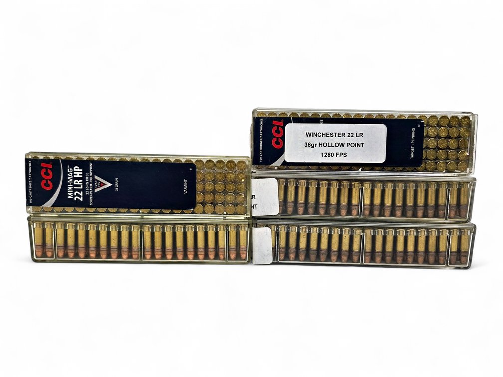500x Winchester & CCI Mini Mag 22LR Rounds