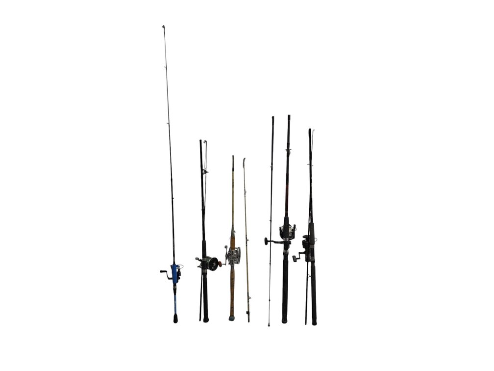 Fishing Rods & Reels