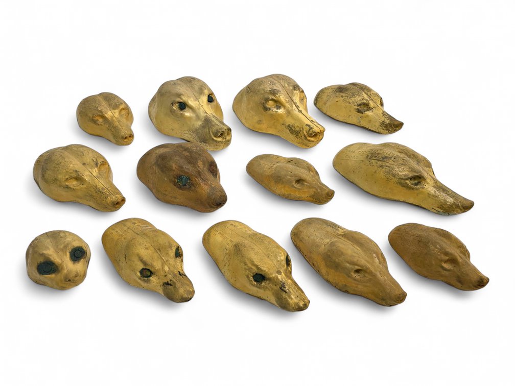 13x Taxidermy Molds
