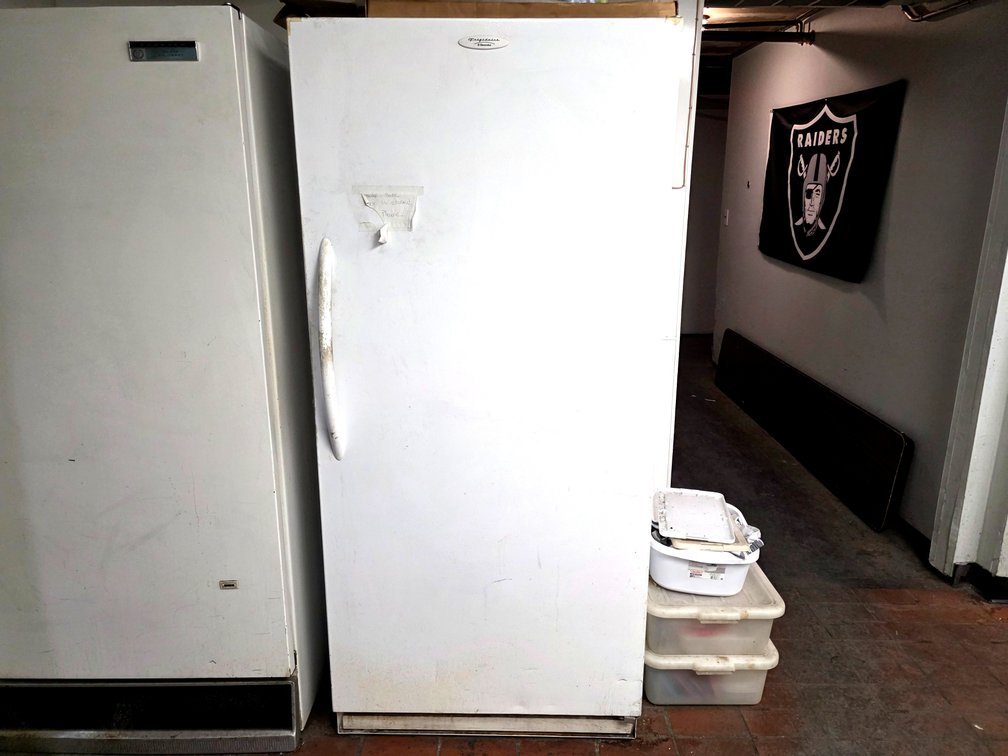 Frigidaire Electrolux Upright Single-Door Refrigerator