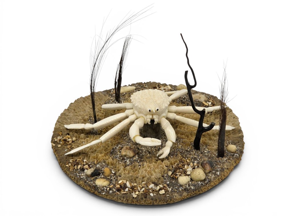 Large Alaska King Crab Marine Diorama - Brian Kulik