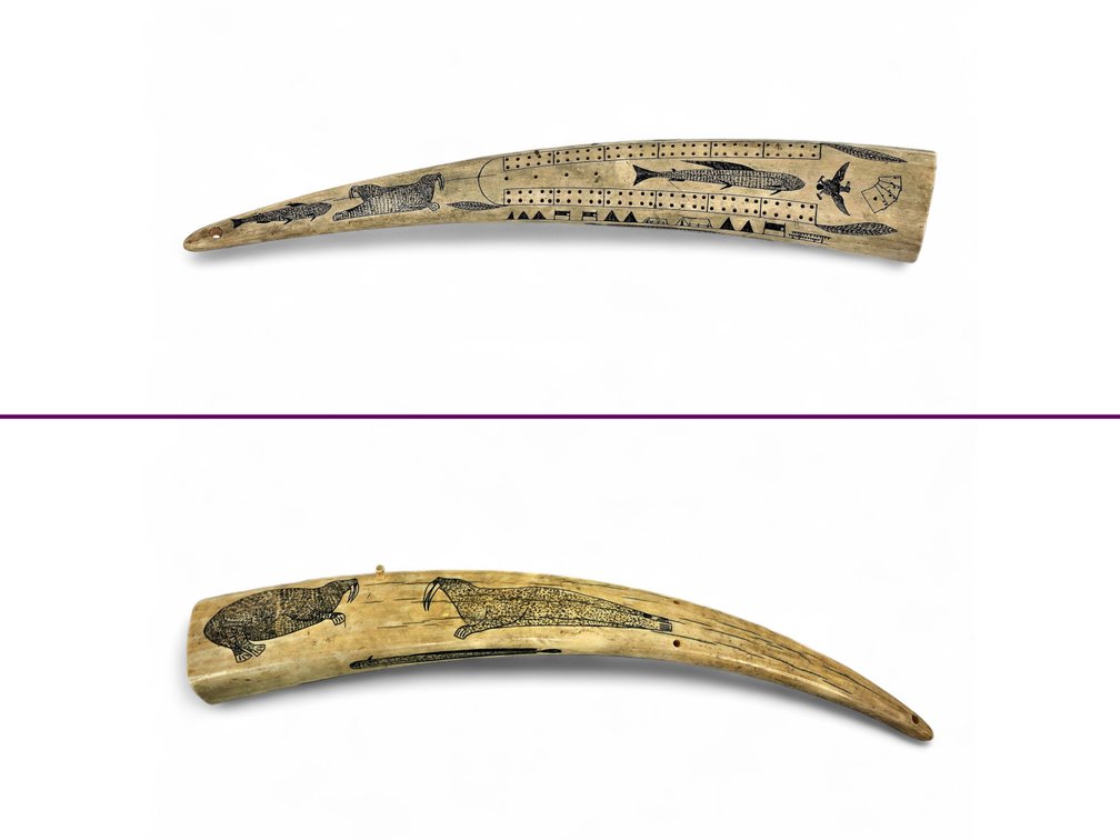 Exceptional Happy Jack Angokwazhuk Scrimshaw Walrus Tusk Cribbage Board