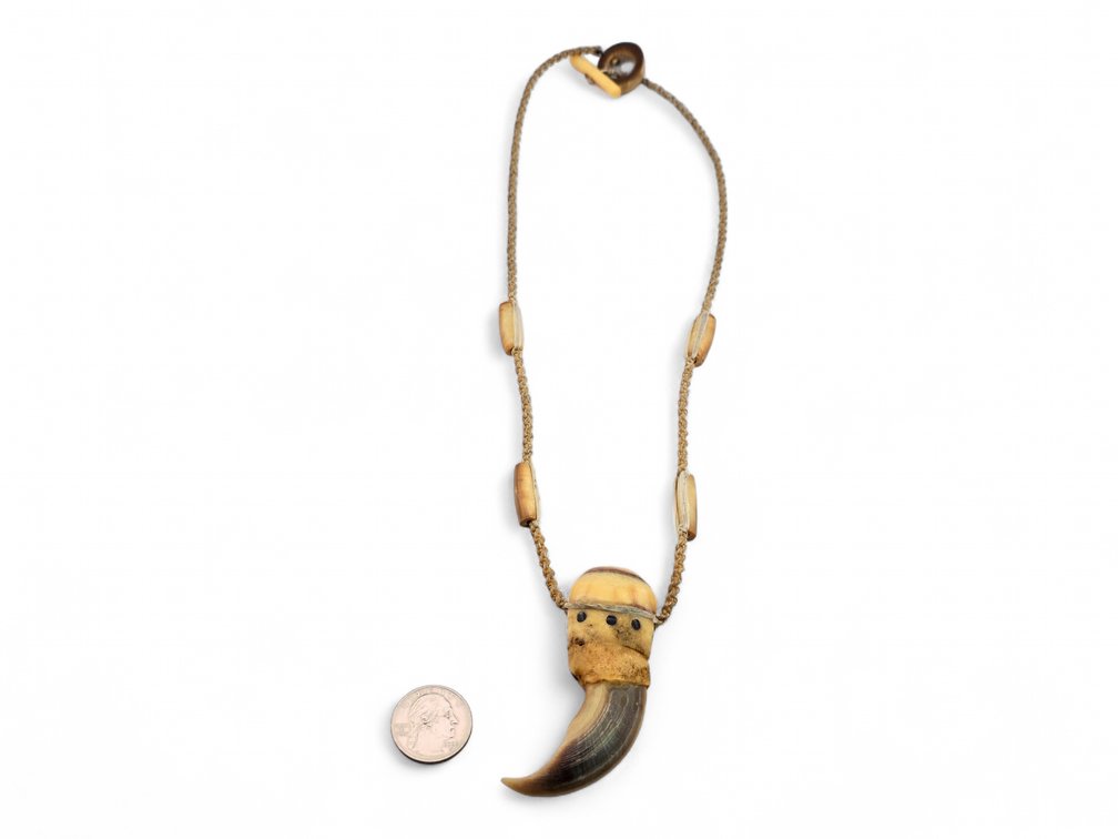 Bear Claw & Fossil Ivory Necklace