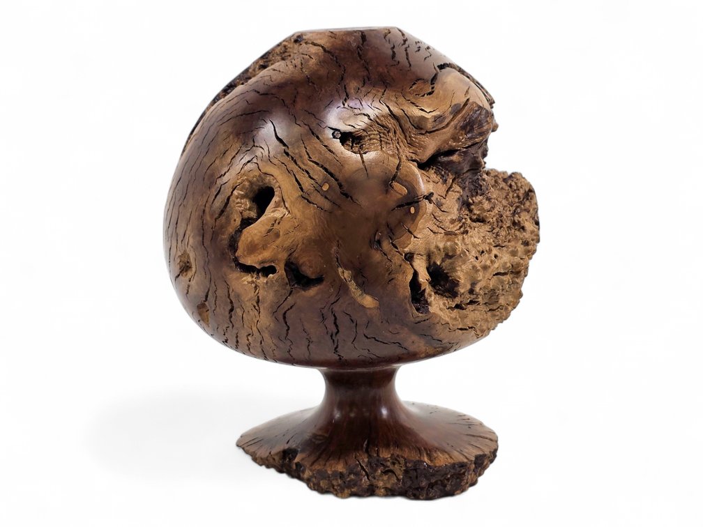 Natural Wood Burl Sculpture