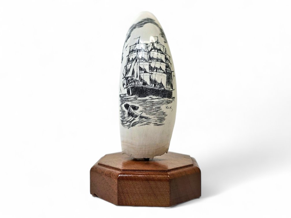 Scrimshaw Whale Tooth of Clipper Ship