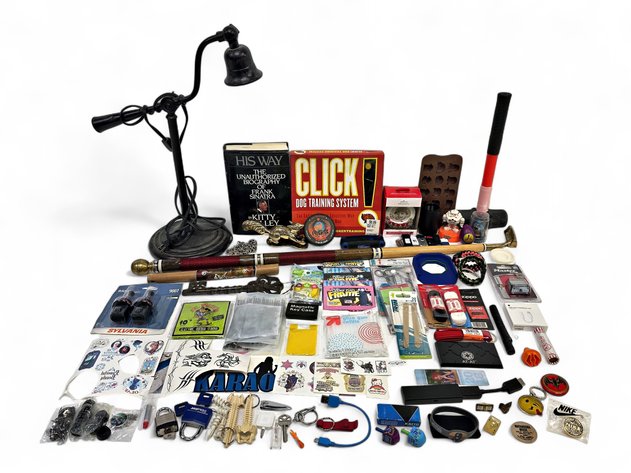 OttLite Lamp, Golf Putter, Frank Sinatra Biography, Squirrel Door Knocker & More