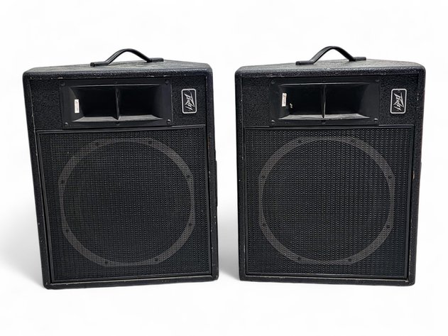 Peavey Floor Monitor Speakers