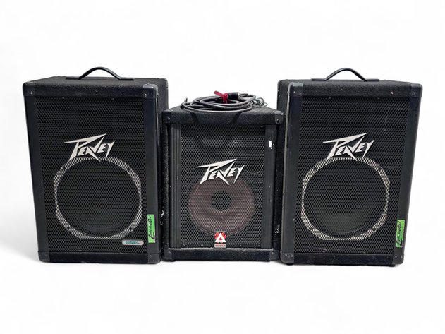 Peavey 112DL & 110TLS Speakers