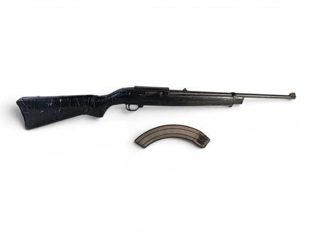 Ruger 10/22 .22 LR Semi-Automatic Rifle