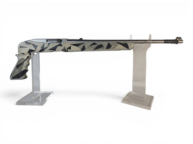 Ruger 10/22 .22 LR Semi-Automatic Rifle