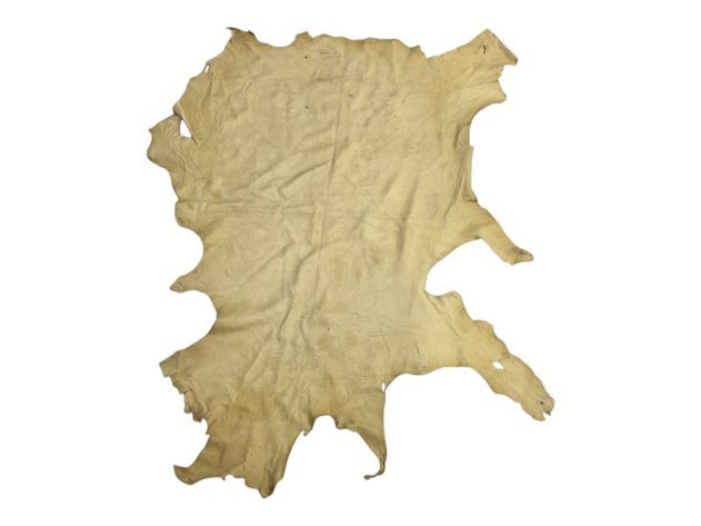 Deer Hide/Buckskin