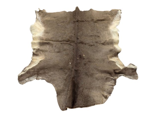 Sitka Black-Tailed Deer Hide