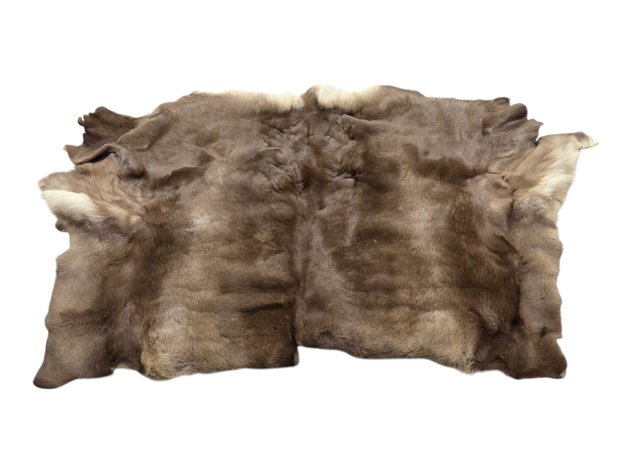 Caribou Hide
