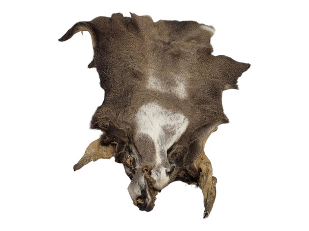 Sitka Black-Tailed Deer Face Cape