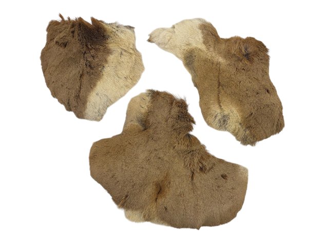 Pronghorn Hide Scraps