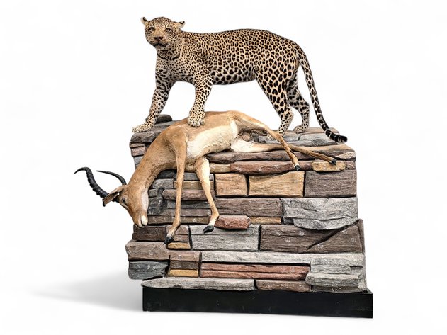 Leopard & Impala Taxidermy Mount Diorama