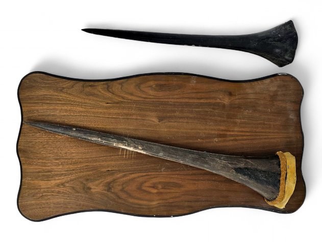 Swordfish Rostra Mount & Specimen