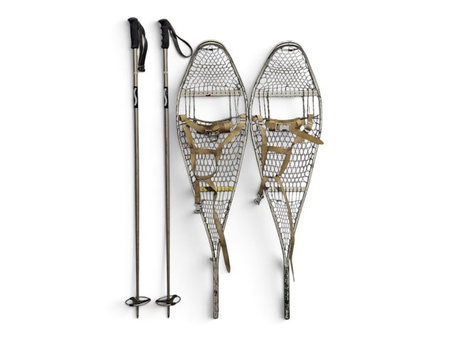 1965 U.S. Military Snowshoes & Scott USA Ski Poles