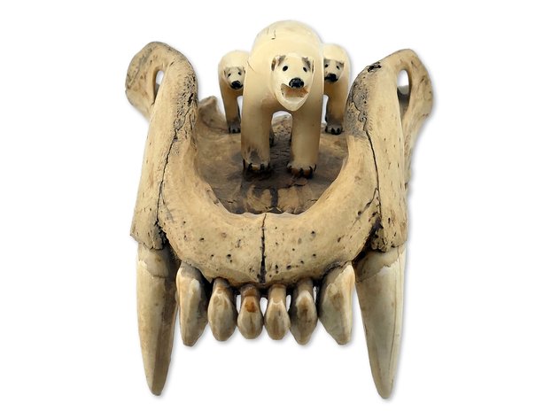 Walrus Tusk Polar Bear Family & Bear Jaw Diorama