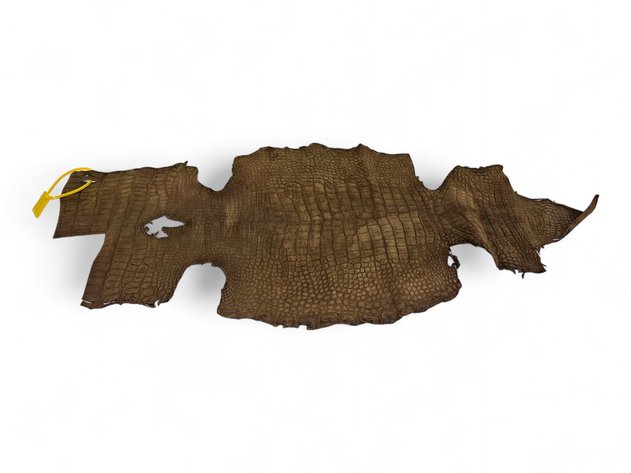 Nubuck Alligator Hide
