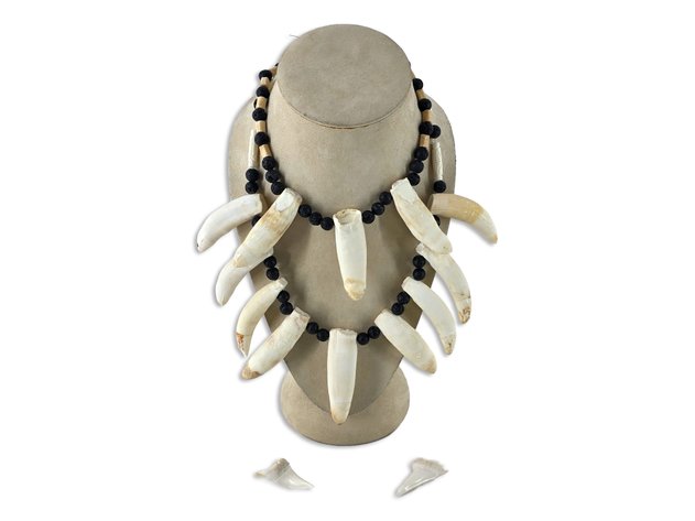 Alligator Tooth, Bone, Igneous Stone & Round Beaded Necklaces & Shark Teeth