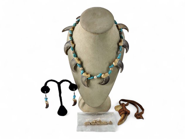 Bear Claw & Turquoise Beaded Necklace, Claw Earrings & Pendant Necklace & More
