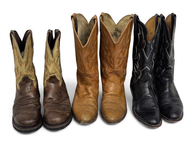 Cat's Paw, Chisholm & Justin Western Leather Boots