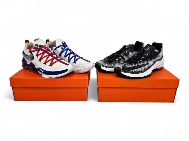Nike LeBron 17 Low 